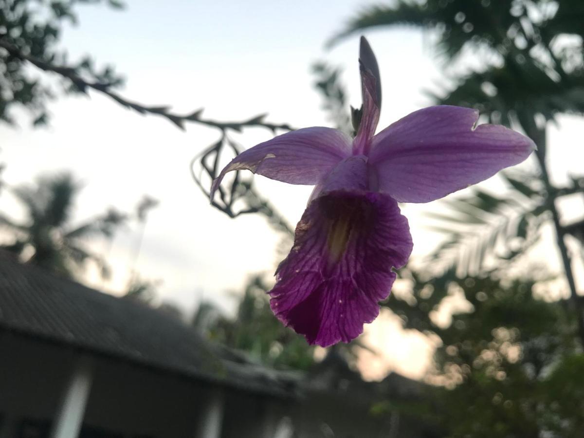Jilan Homestay ベントータ エクステリア 写真
